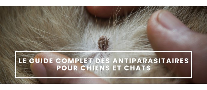 Guide complet des antiparasitaires